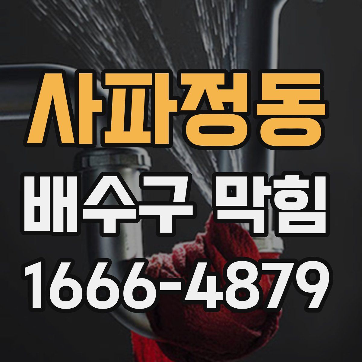 사파정동 배수구 막힘