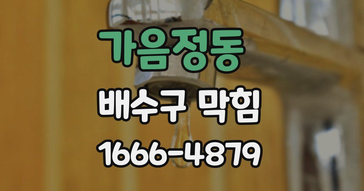 가음정동 배수구 막힘