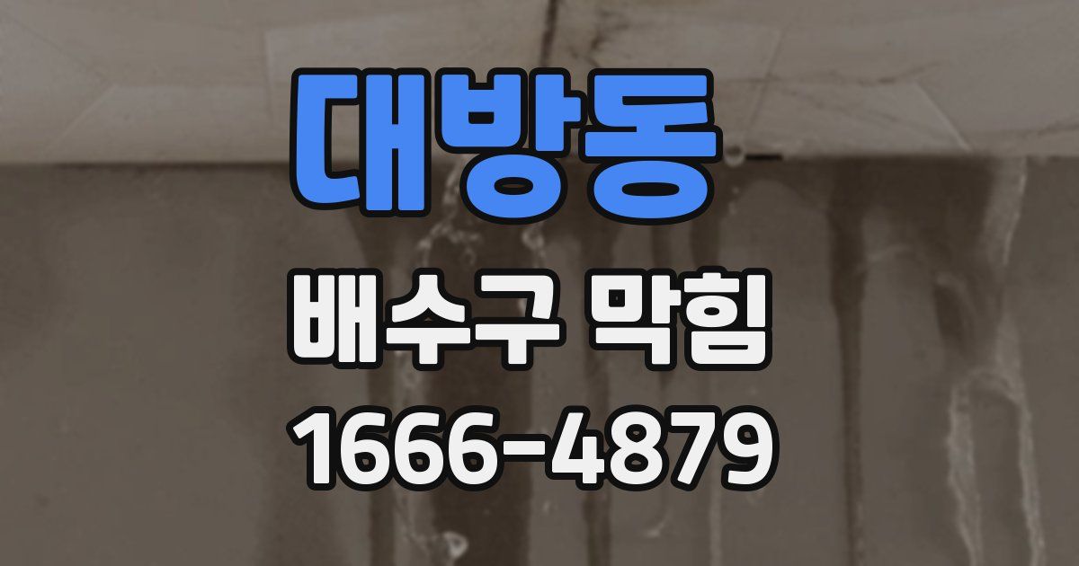 대방동 배수구 막힘