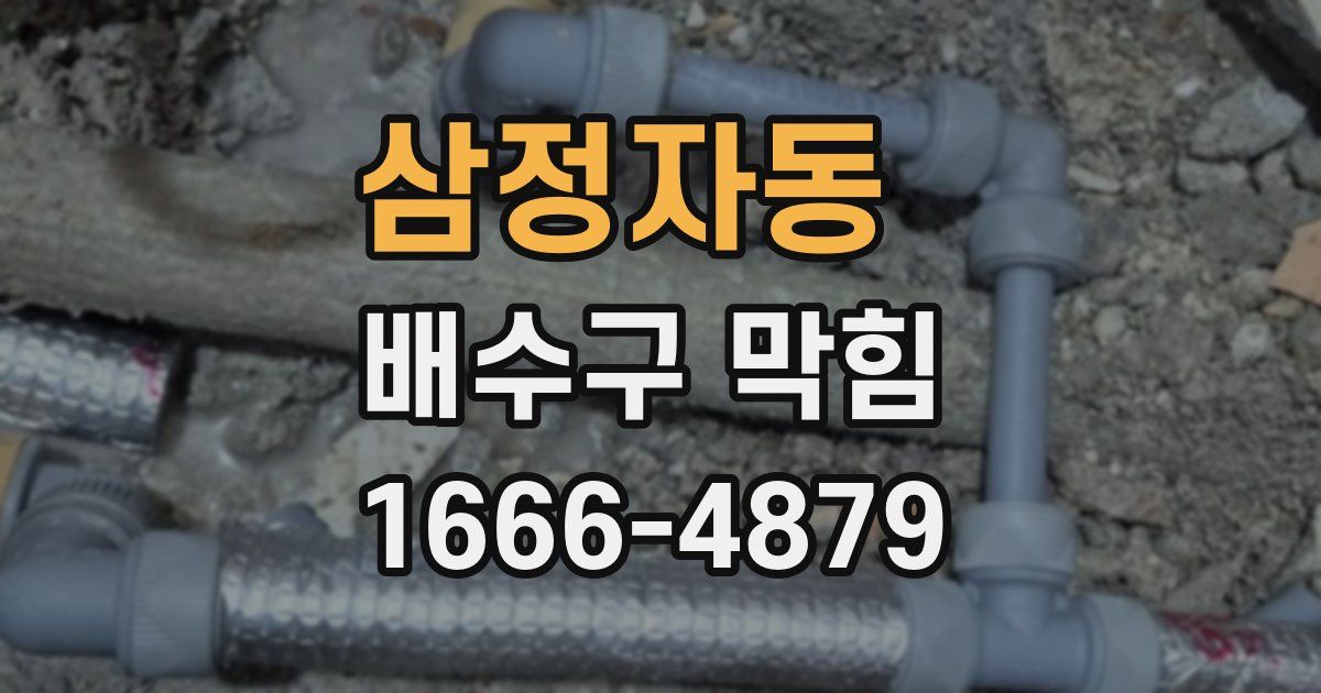 삼정자동 배수구 막힘