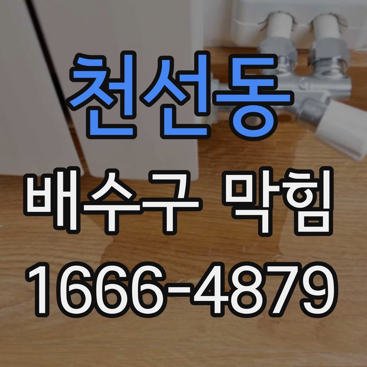 천선동 배수구 막힘