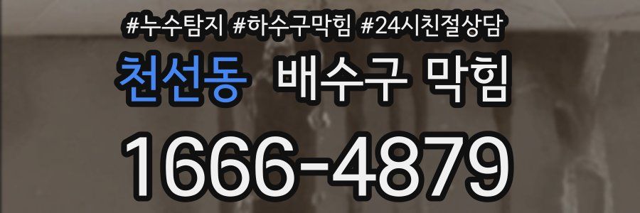 천선동 배수구 막힘
