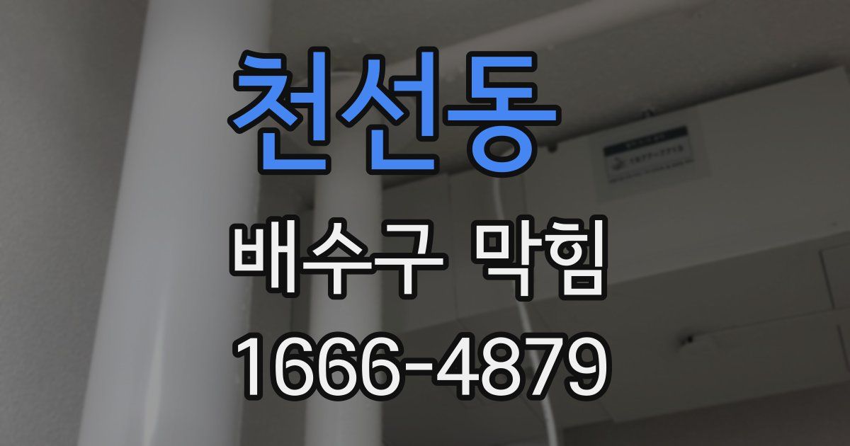 천선동 배수구 막힘