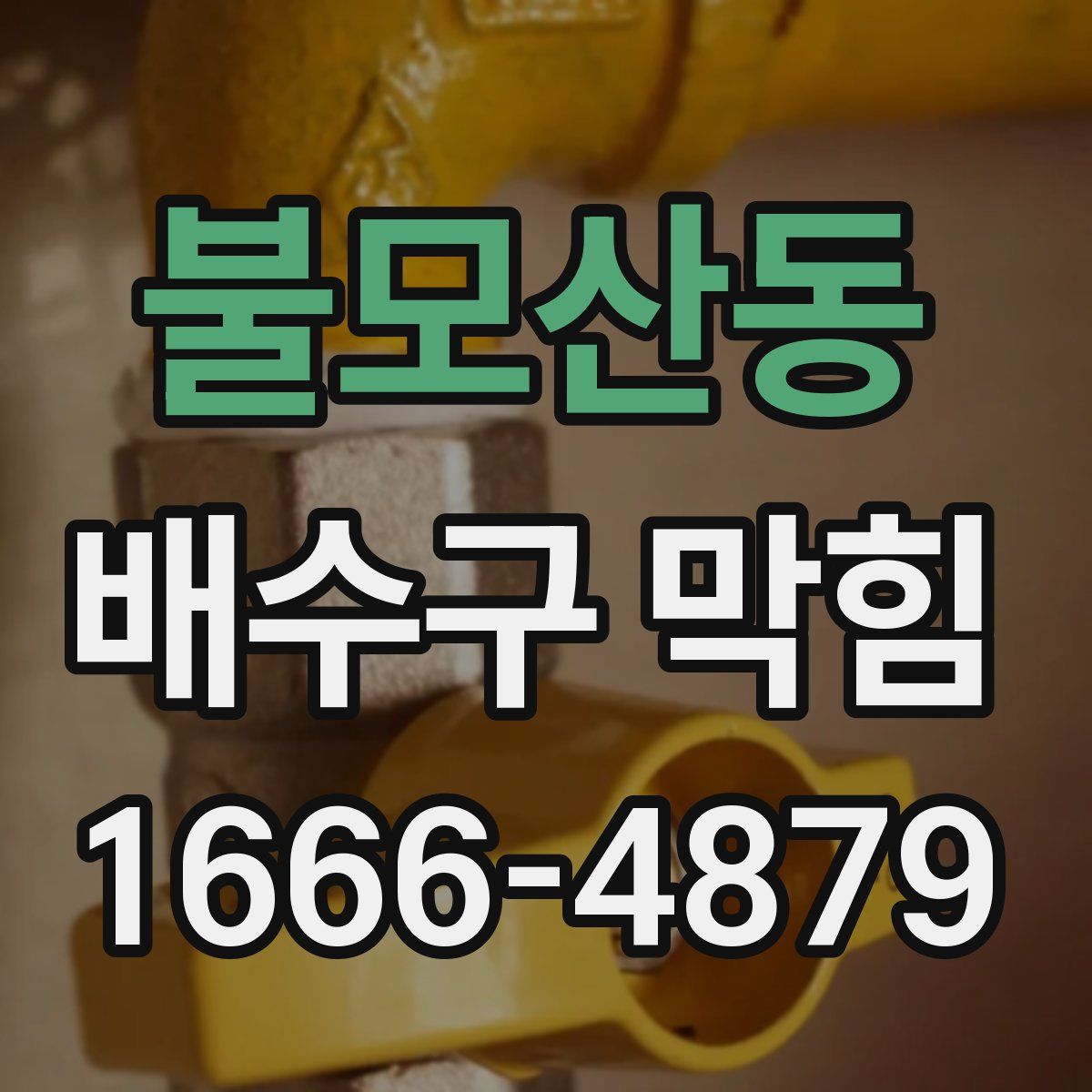 불모산동 배수구 막힘
