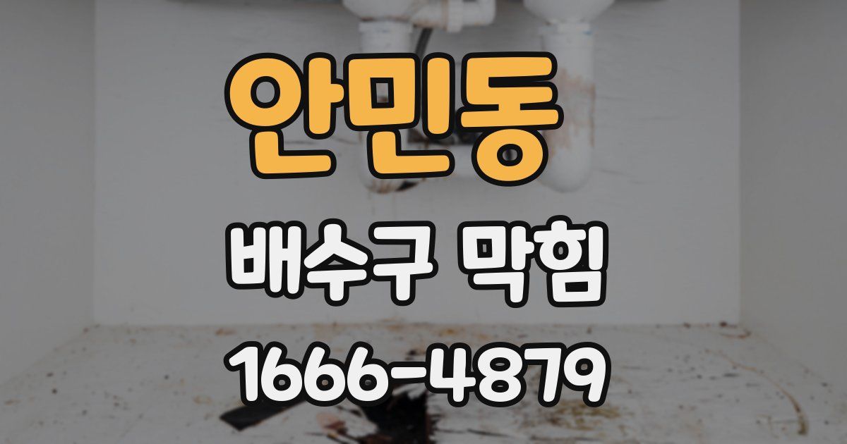 안민동 배수구 막힘