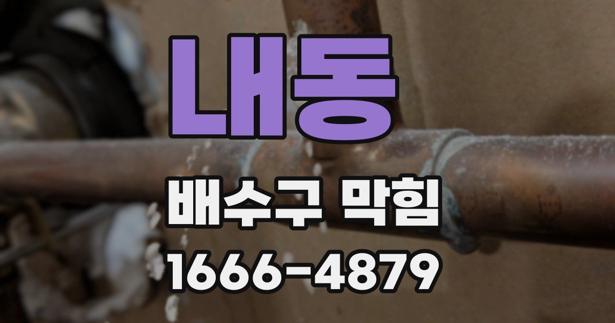 내동 배수구 막힘
