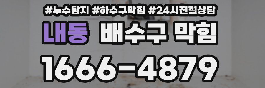 내동 배수구 막힘