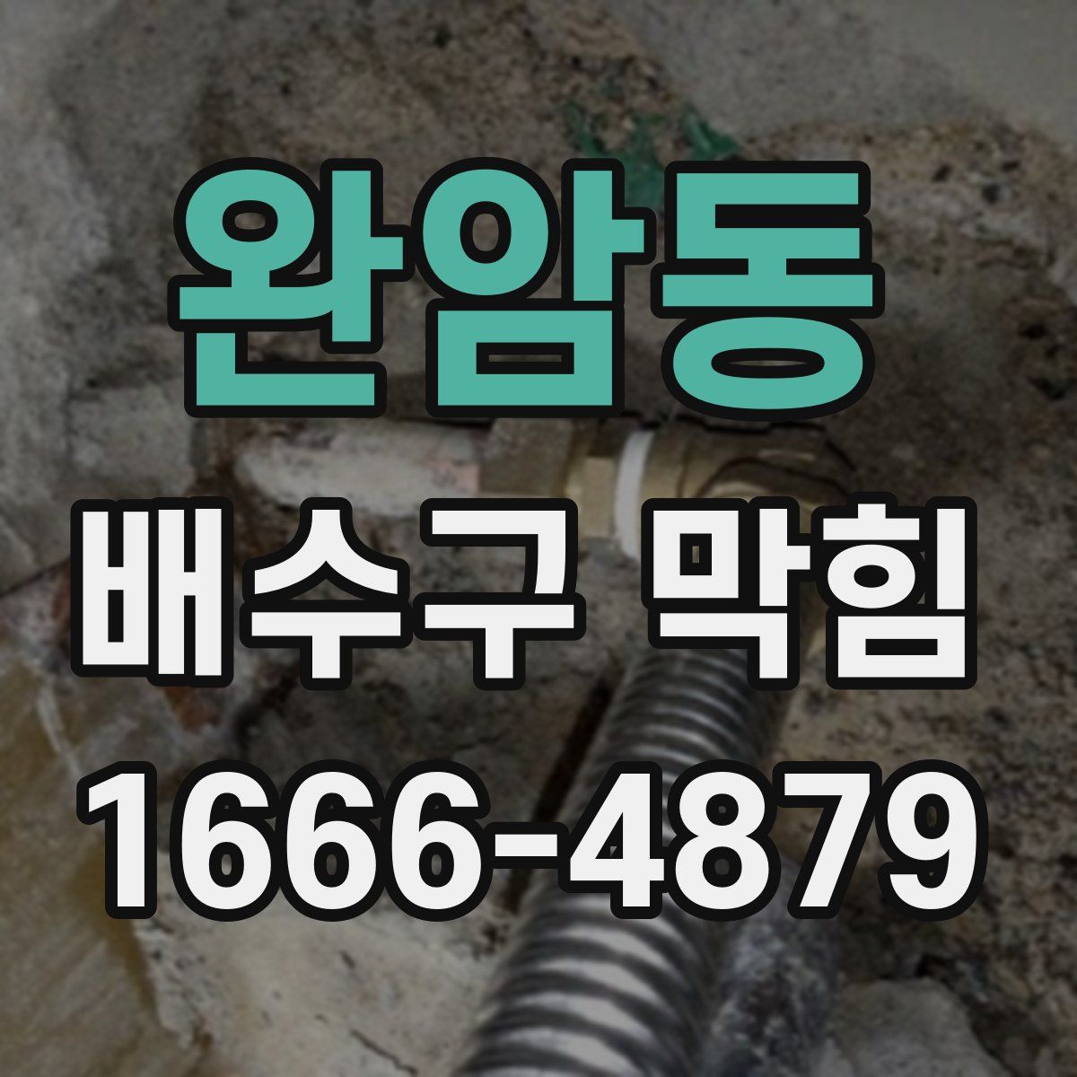 완암동 배수구 막힘