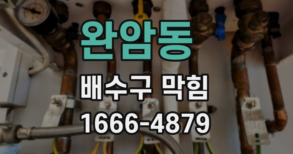 완암동 배수구 막힘