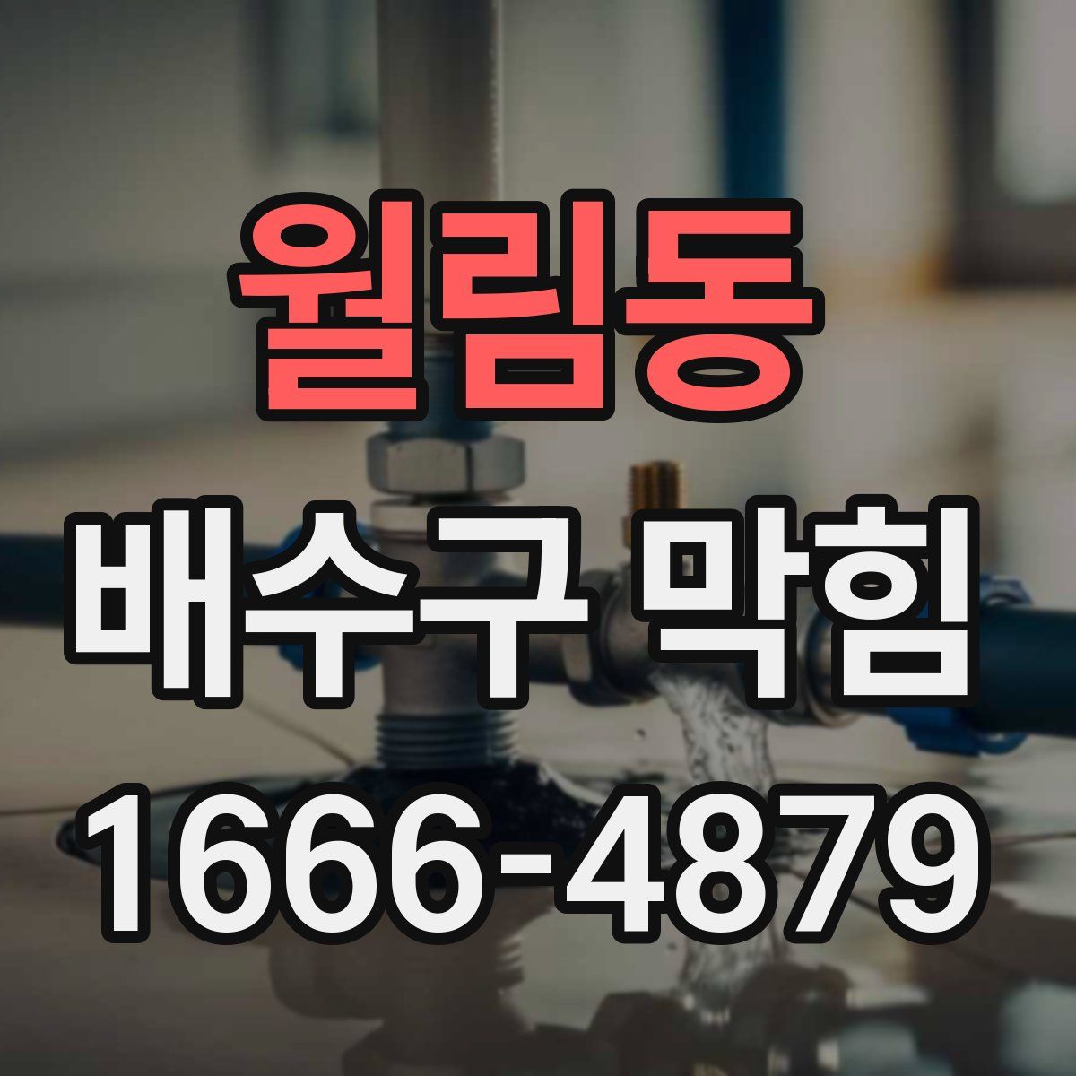 월림동 배수구 막힘