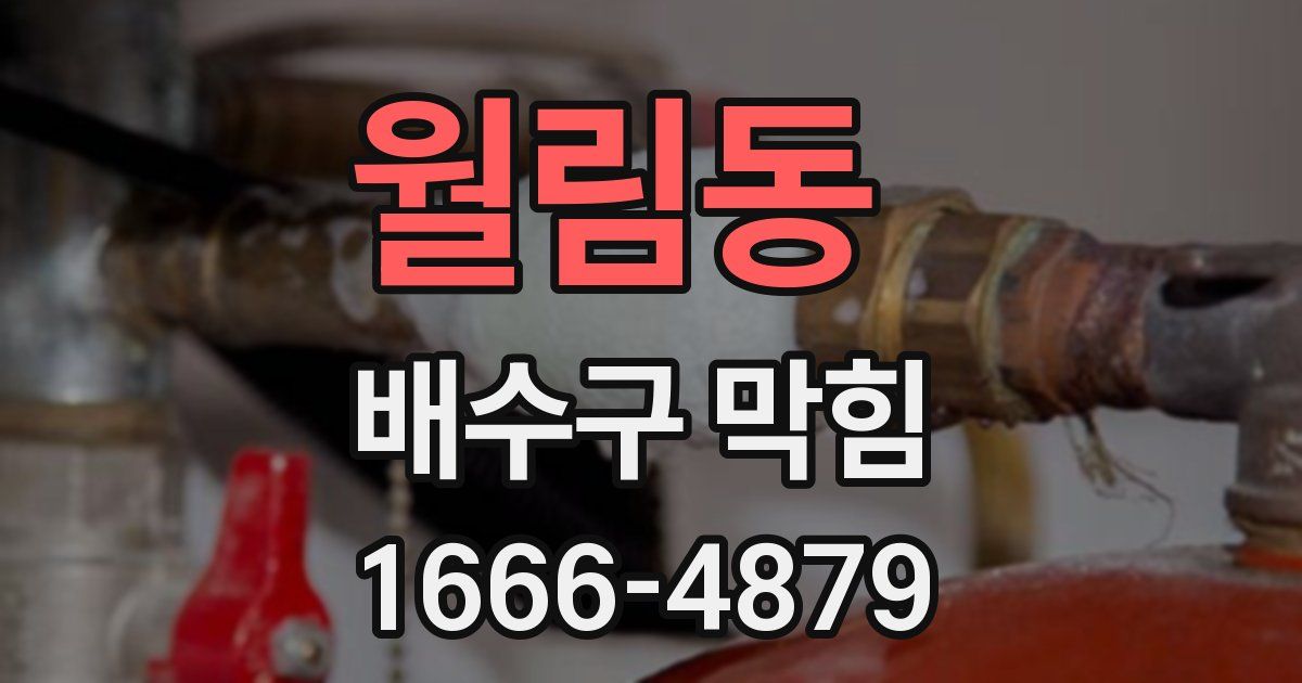 월림동 배수구 막힘