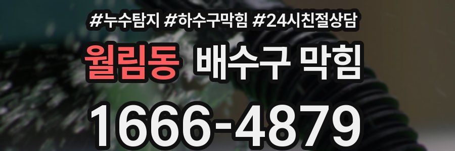 월림동 배수구 막힘