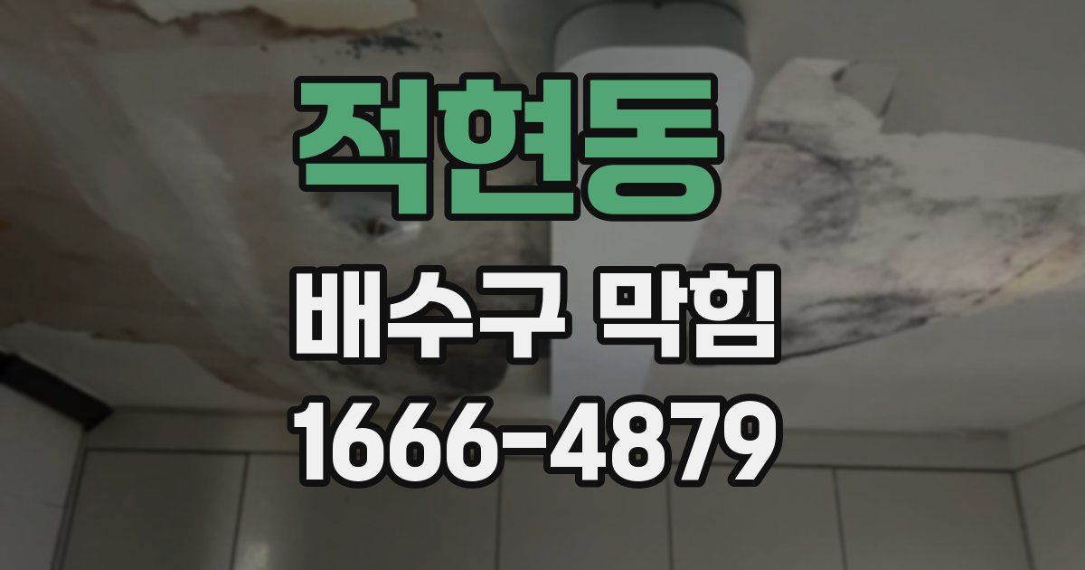 적현동 배수구 막힘
