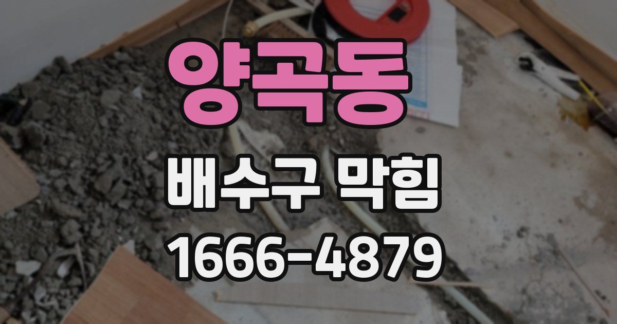 양곡동 배수구 막힘