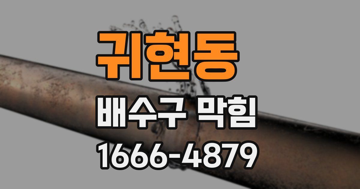 귀현동 배수구 막힘