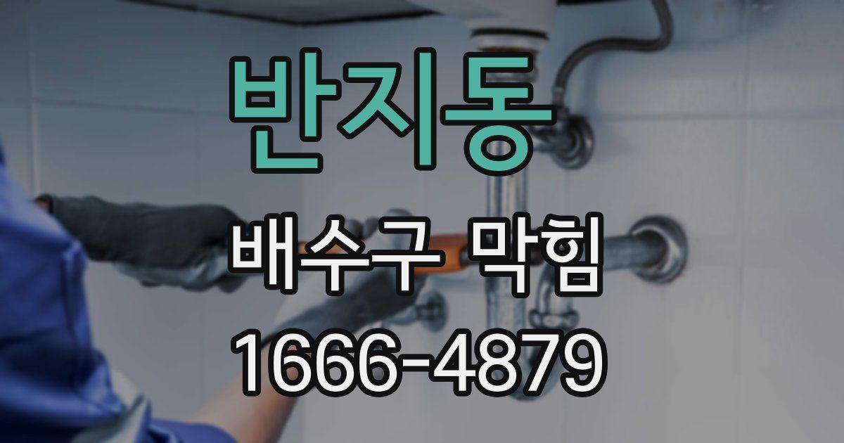 반지동 배수구 막힘