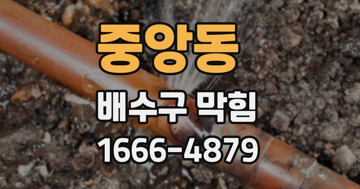 중앙동 배수구 막힘