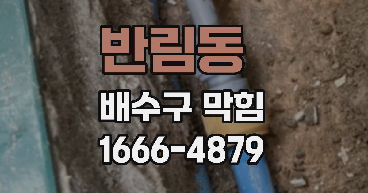 반림동 배수구 막힘