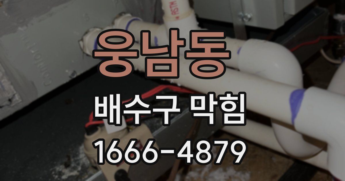 웅남동 배수구 막힘