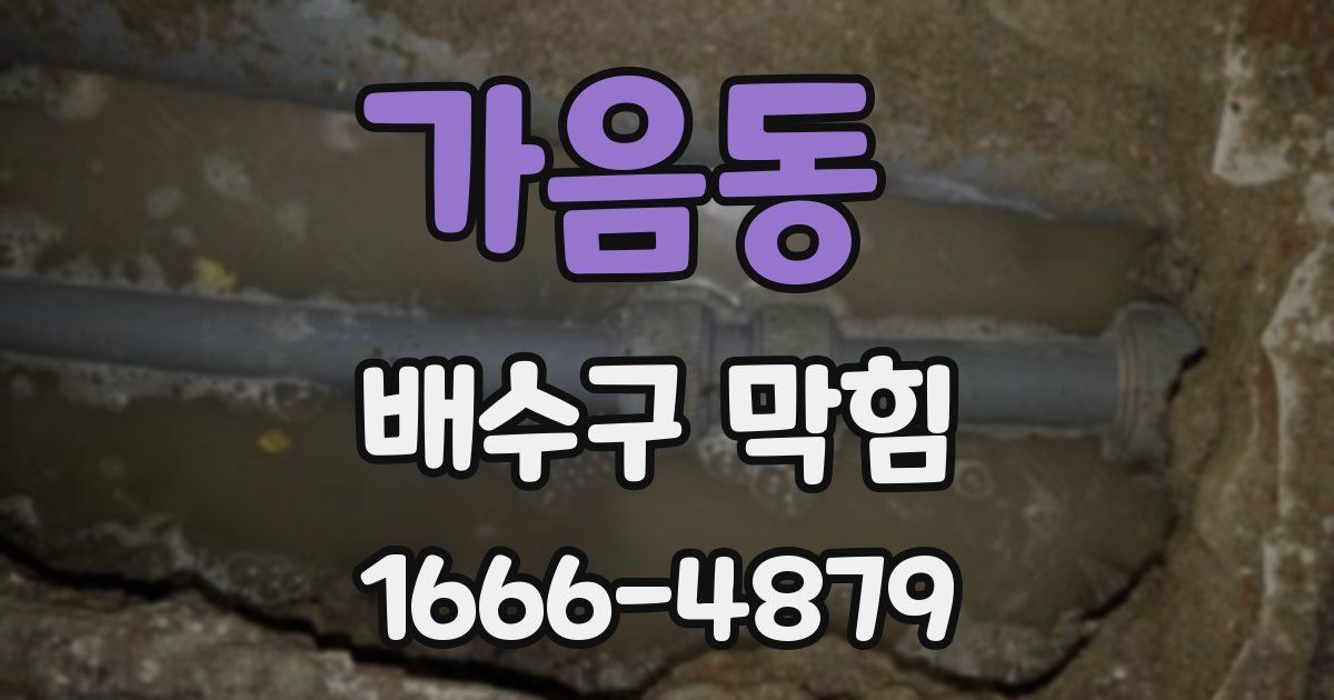 가음동 배수구 막힘