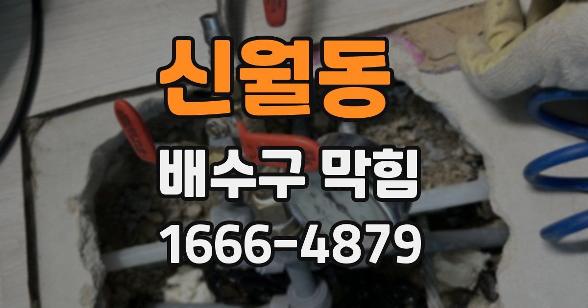 신월동 배수구 막힘