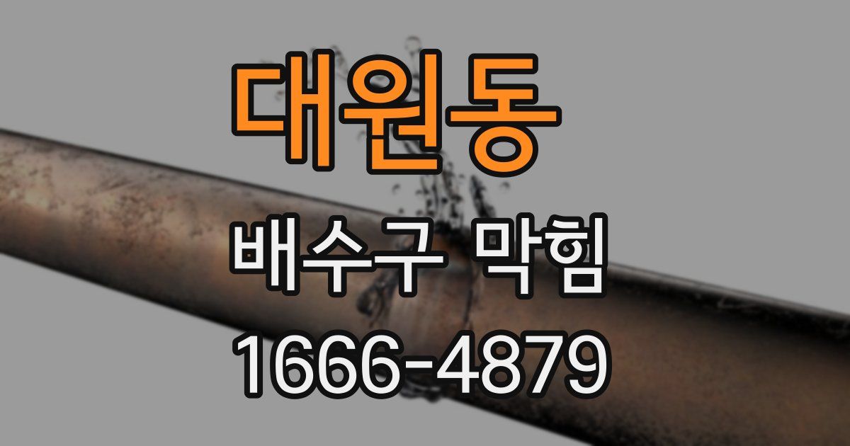 대원동 배수구 막힘