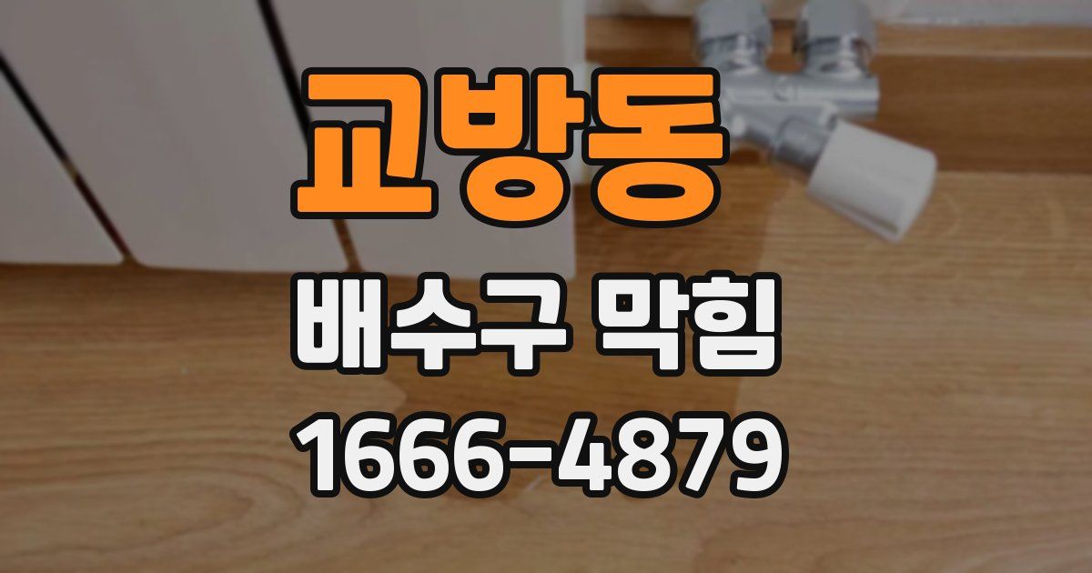 교방동 배수구 막힘