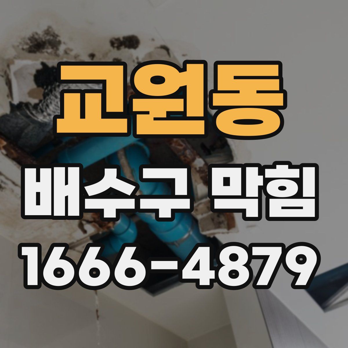 교원동 배수구 막힘