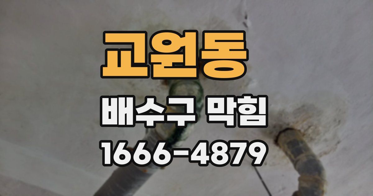 교원동 배수구 막힘