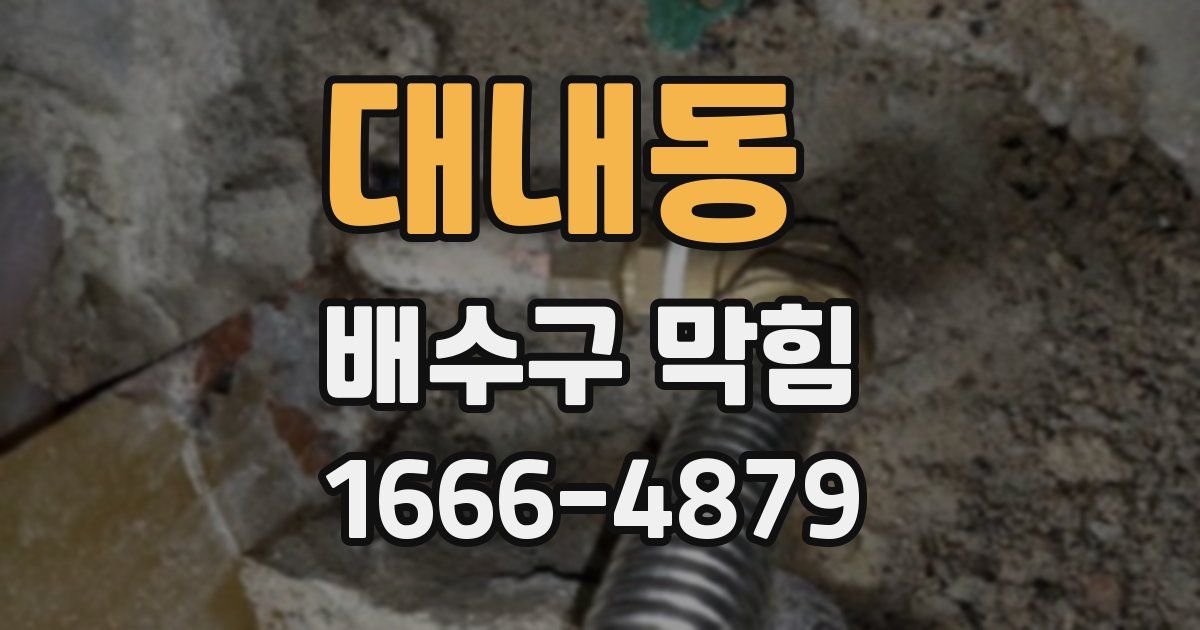 대내동 배수구 막힘