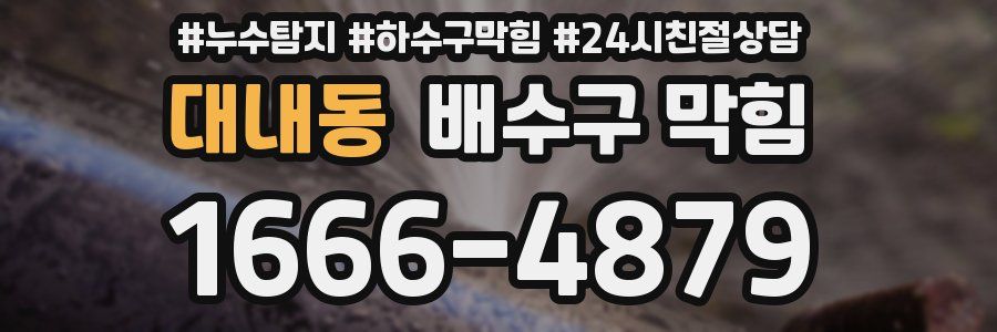 대내동 배수구 막힘
