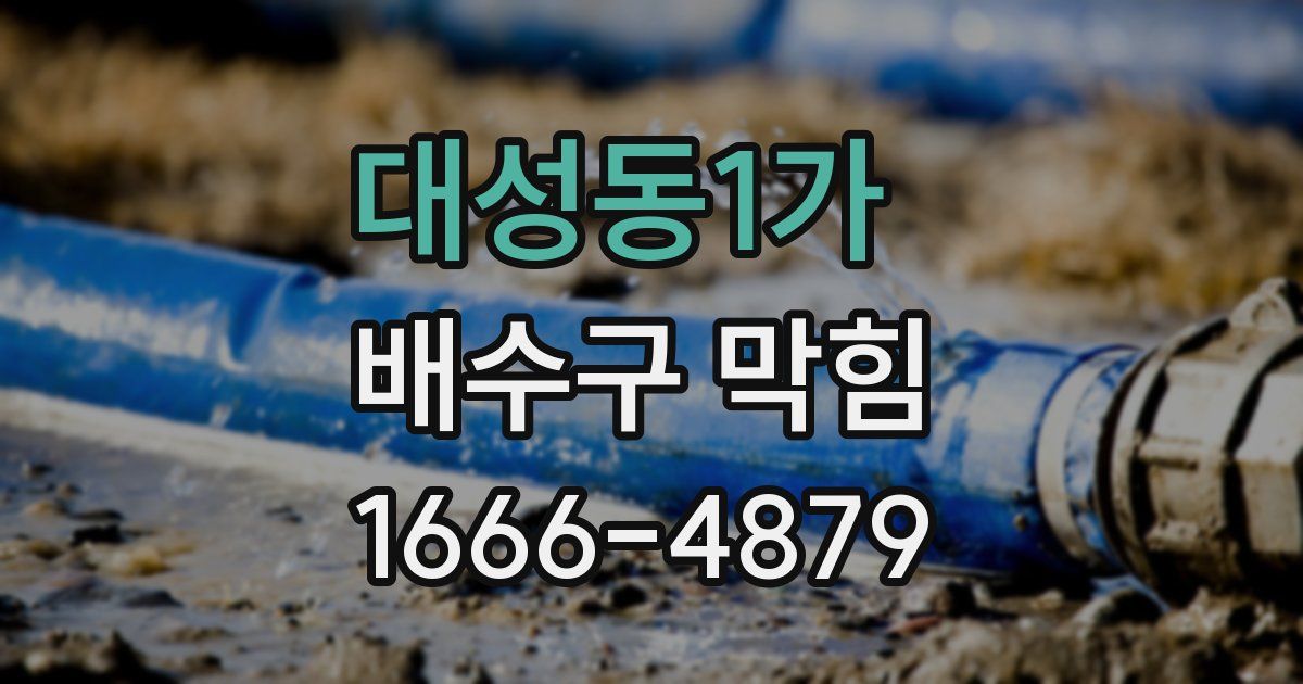대성동1가 배수구 막힘
