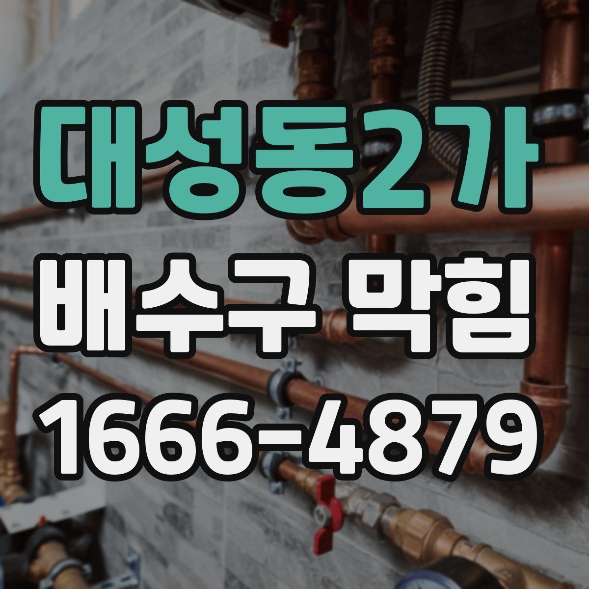 대성동2가 배수구 막힘