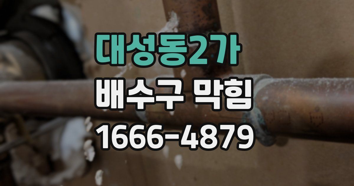 대성동2가 배수구 막힘