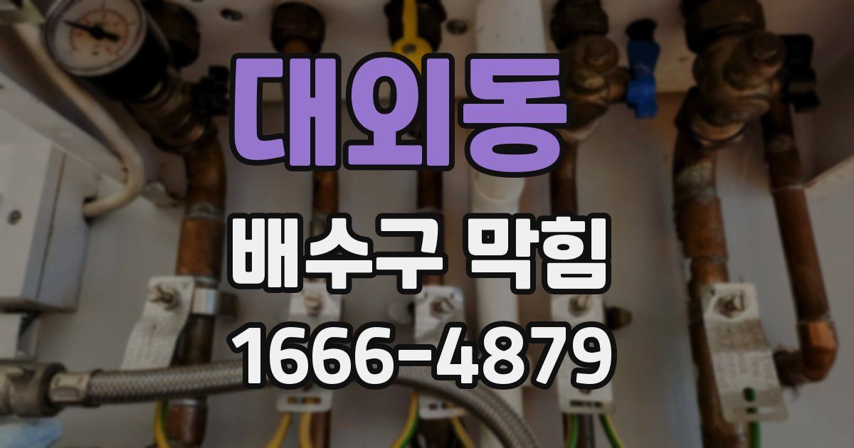 대외동 배수구 막힘