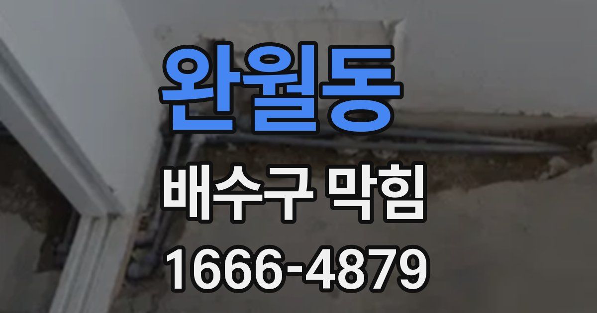 완월동 배수구 막힘