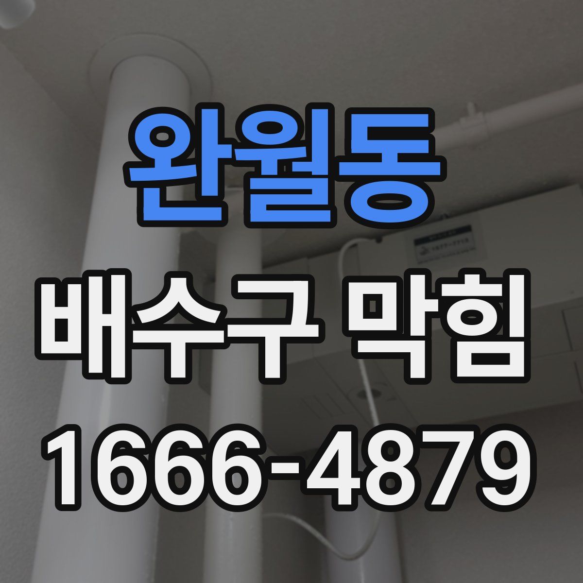 완월동 배수구 막힘