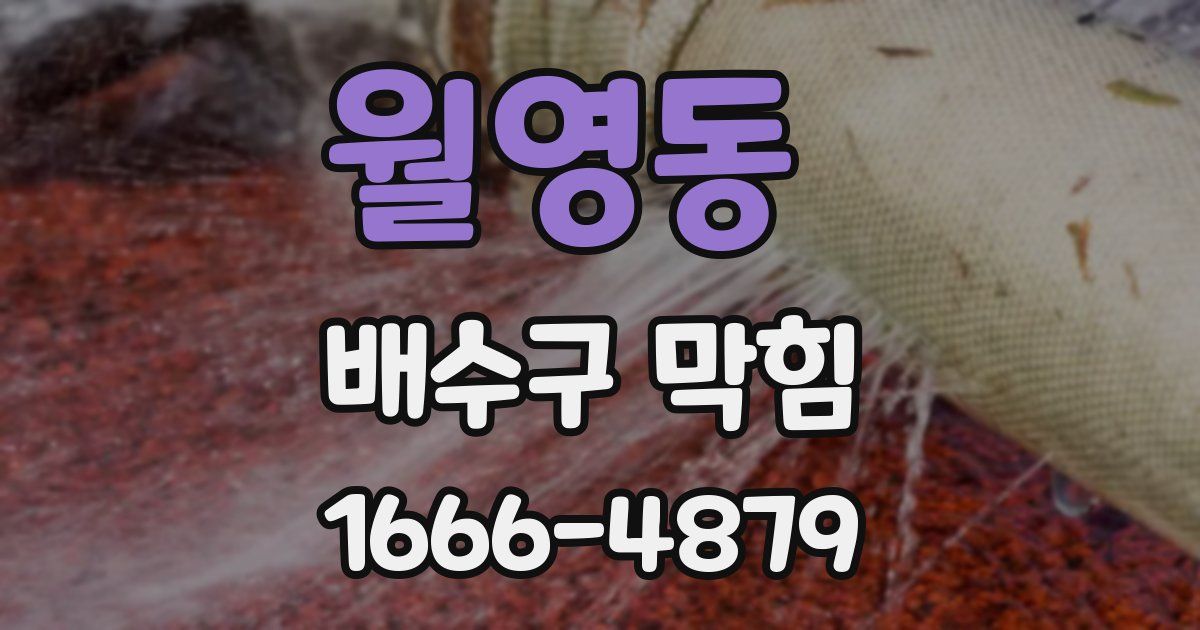 월영동 배수구 막힘