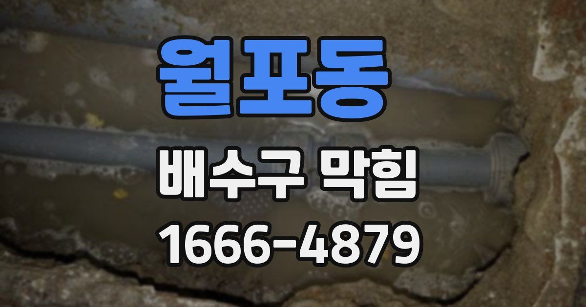 월포동 배수구 막힘
