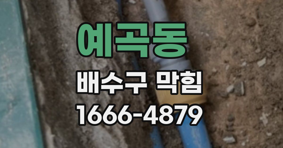 예곡동 배수구 막힘