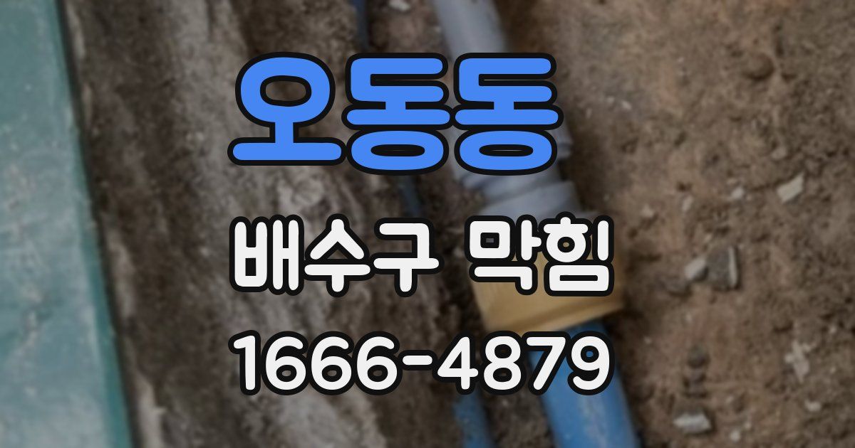 오동동 배수구 막힘