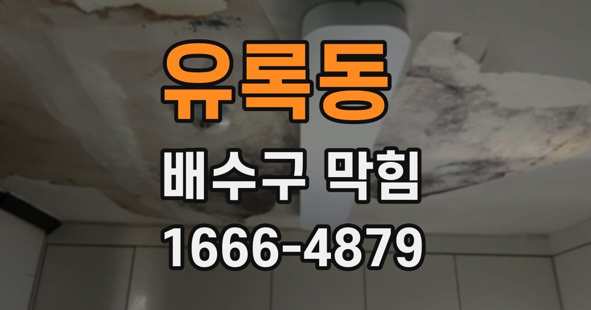 유록동 배수구 막힘
