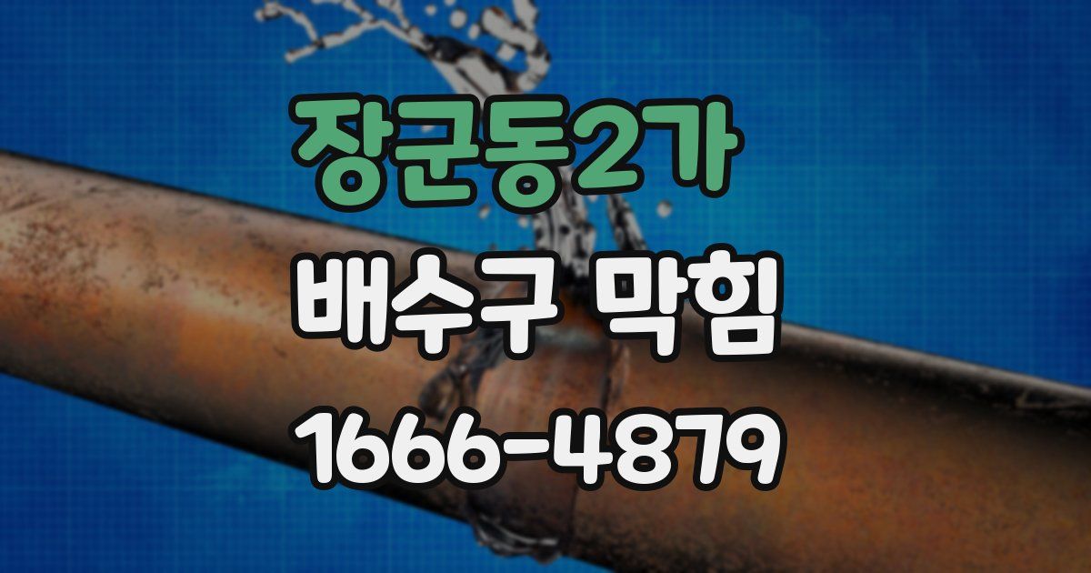 장군동2가 배수구 막힘