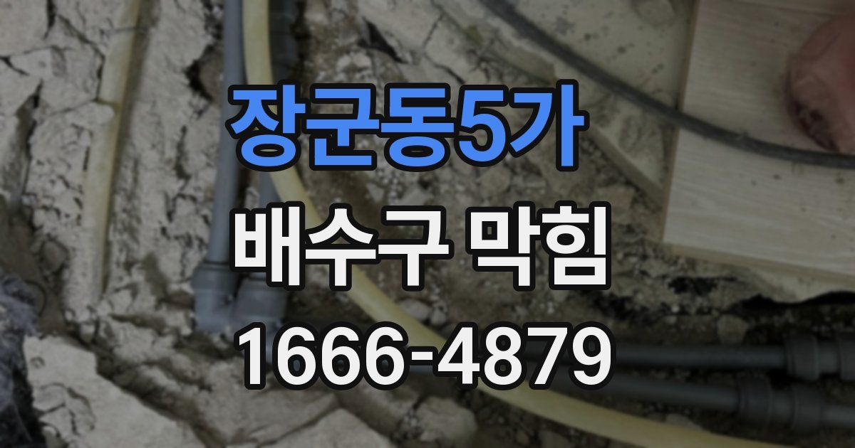 장군동5가 배수구 막힘
