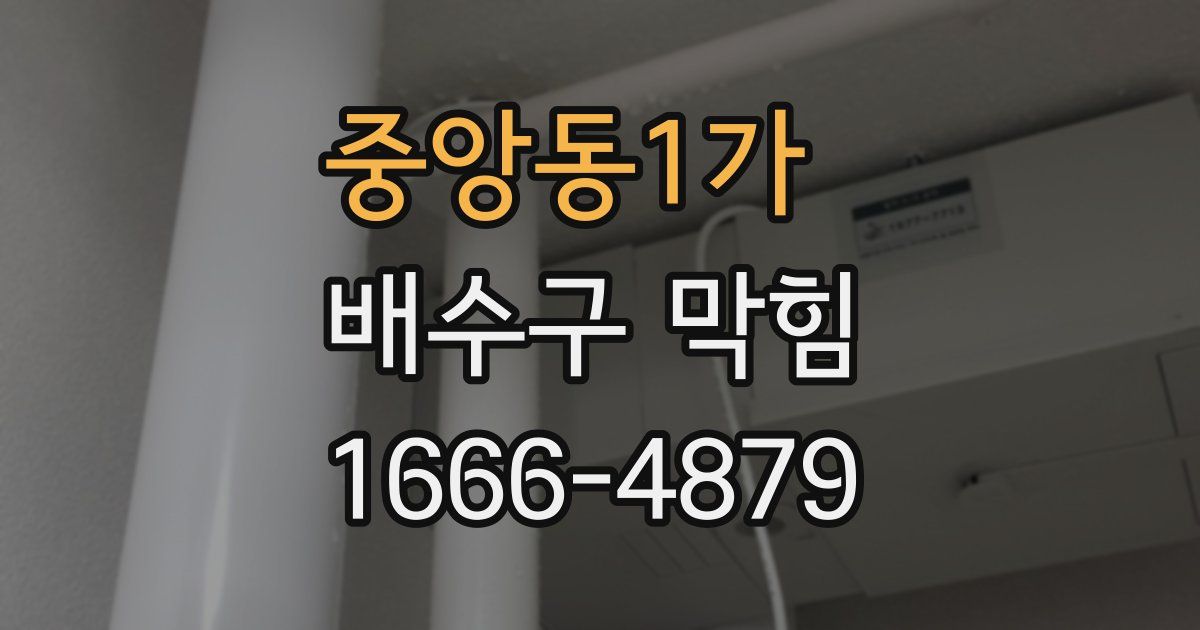중앙동1가 배수구 막힘