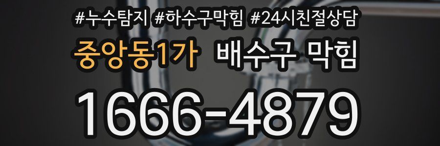 중앙동1가 배수구 막힘
