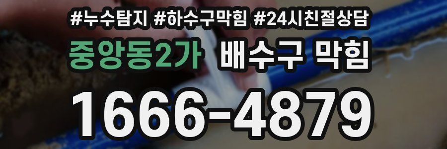 중앙동2가 배수구 막힘