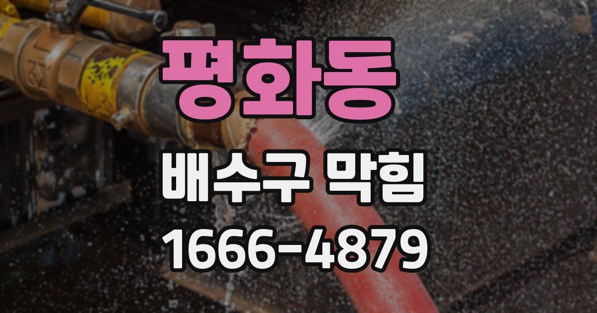 평화동 배수구 막힘