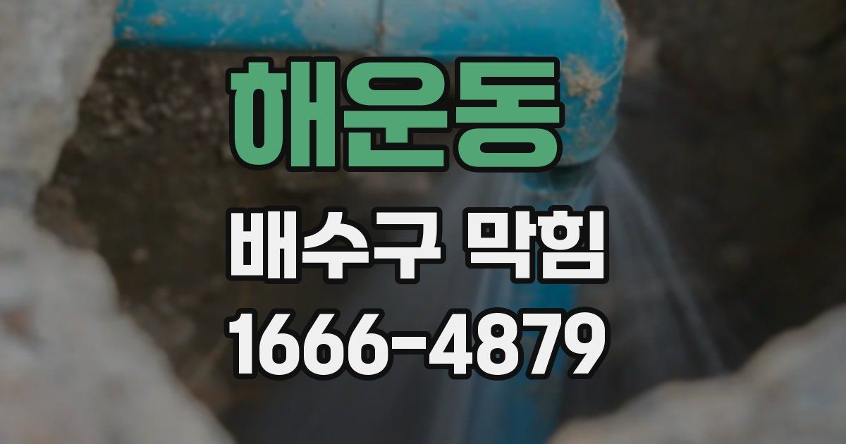 해운동 배수구 막힘