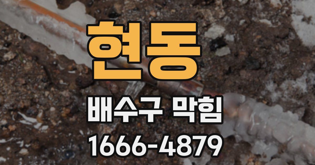 현동 배수구 막힘